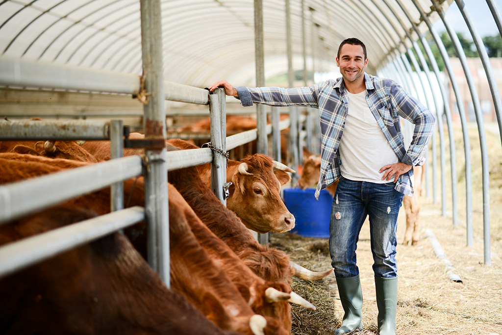 portrait agriculteur se tenant debout devant son élevage bovin et qui sourit