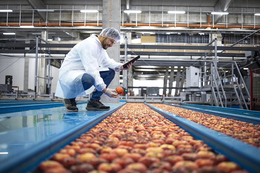 technicien en blouse blanche et portant une charlotte qui étudie le lavage de pommes - industrie bio agroalimentaire