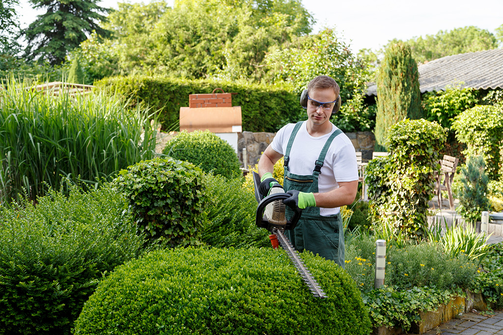 jardinier paysagiste homme en tenue de travail portant casque et lunettes de protection entrain de tailler une haie