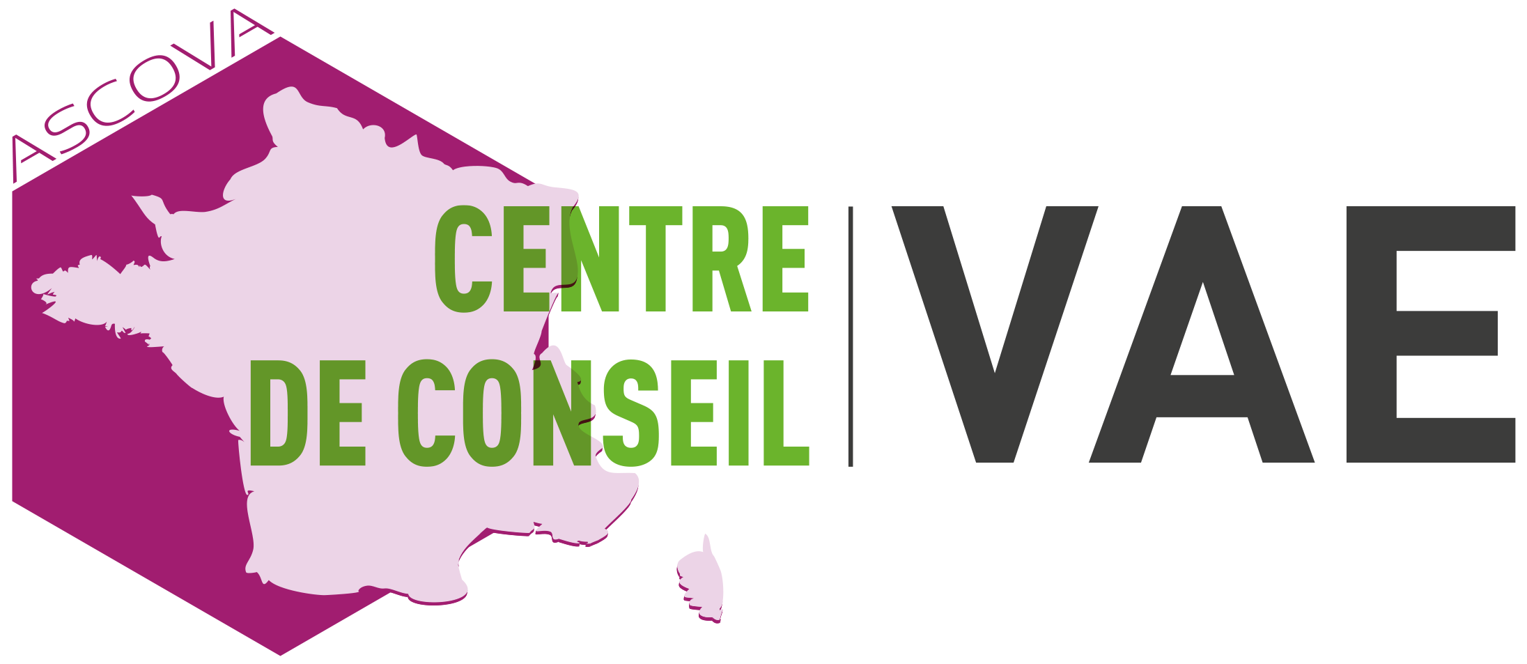 Logo Centre de Conseil VAE